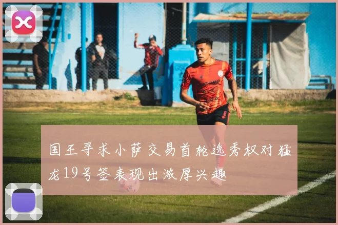 国王寻求小萨交易首轮选秀权对猛龙19号签表现出浓厚兴趣